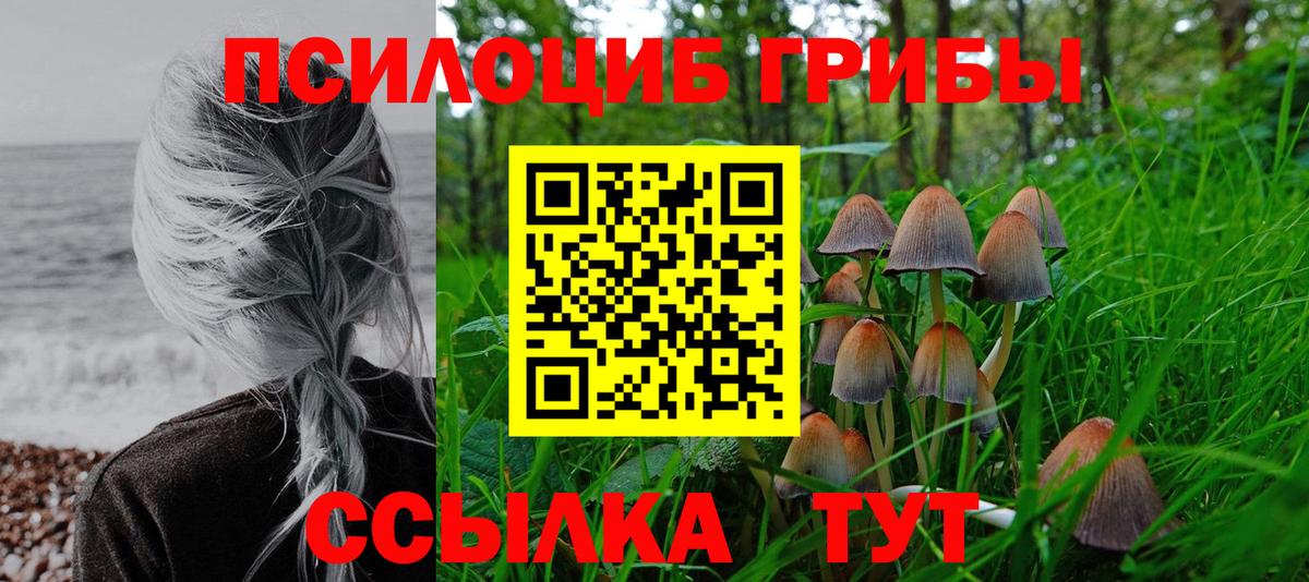 Псилоцибиновые грибы прущие грибы Амурск