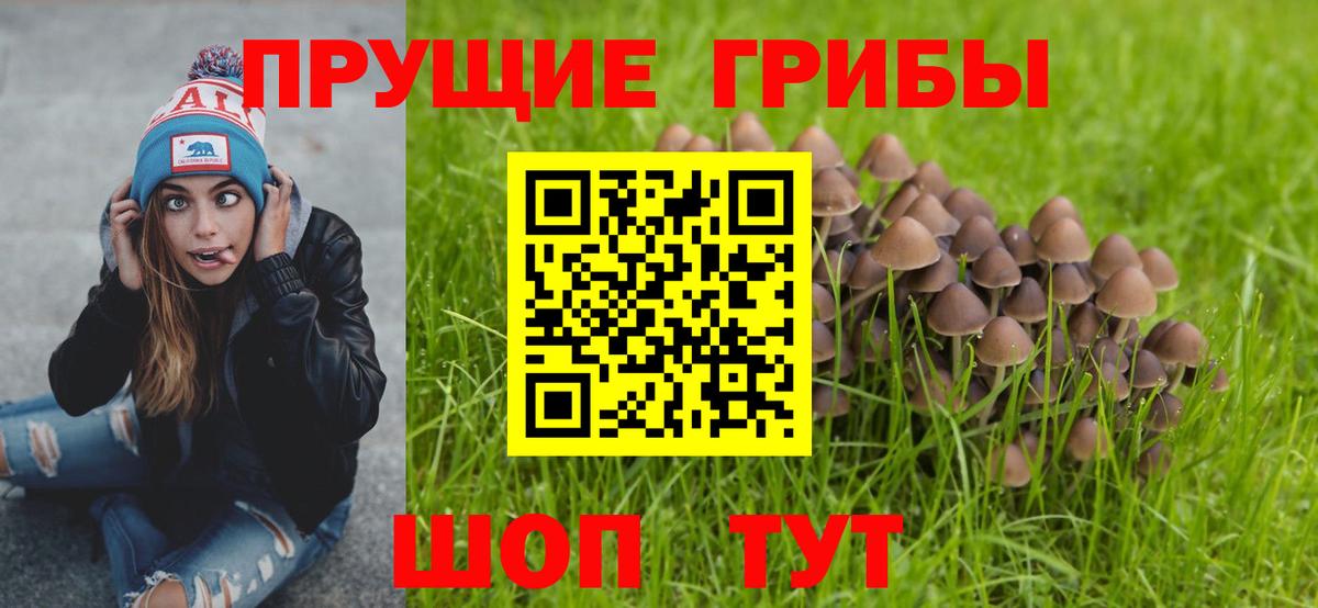 Псилоцибиновые грибы мухоморы  Вход с VPN  Амурск  Псилоцибиновые грибы Magic Shrooms 